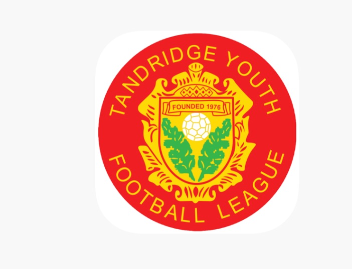 Tandridge Youth League badge